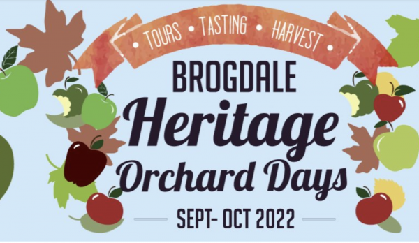 Brogdlae Farm - Heritage Orchard Days
