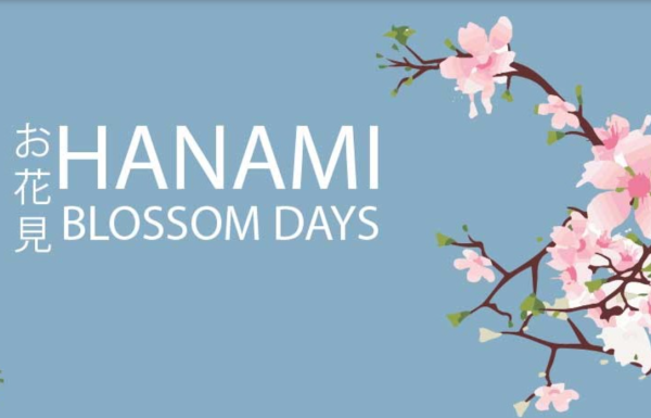 Brogdlae Farm - Hanami Blossom Days