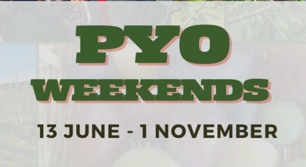 Brogdlae Farm - PYO Fruit Weekends