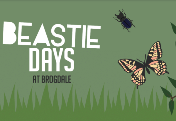 Brogdlae Farm - Beastie Days at Brogdale