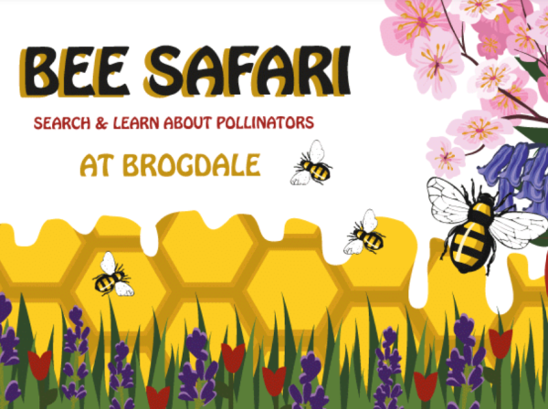 Brogdlae Farm - Bee Safari