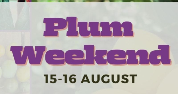 Brogdlae Farm - Plum Weekend