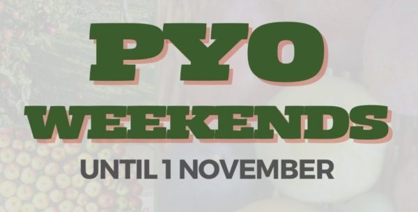 Brogdlae Farm - PYO Fruit Weekends