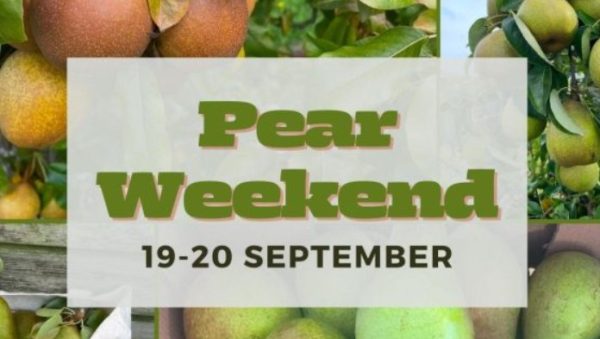 Brogdlae Farm - Pear Weekend